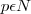 p\epsilon  N