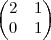 \begin{pmatrix}
2 & 1 \\
0 & 1
\end{pmatrix} \begin{pmatrix}
2 & 1 \\
0 & 1
\end{pmatrix}