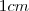 1cm