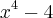 {x}^{4}-4
